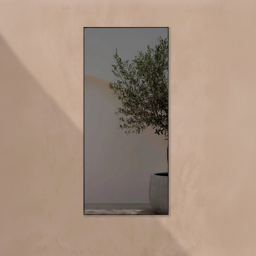 Miroir extérieur jardin XL 80x175 cm cadre aluminium noir satiné, vue de face
